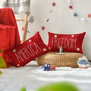AVOIN 4th of July Patriotic Throw Pillow Covers Set of 4