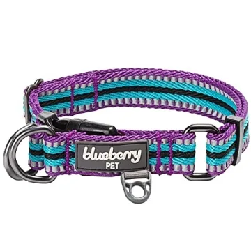 Blueberry Pet 3M Reflective Adjustable Dog Collar - Violet and River Blue with Multi-Colored Stripe