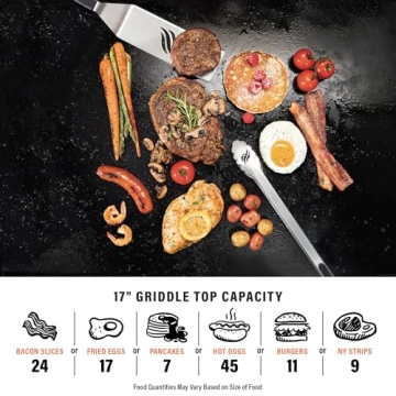 Blackstone 1814 Portable Gas Griddle 17 Inch 12000 BTUs