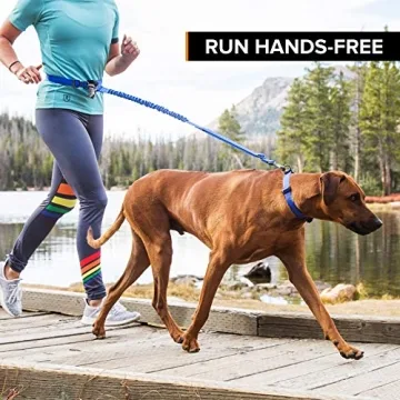 Hands-Free Dog Leash for Running by Stunt Puppy