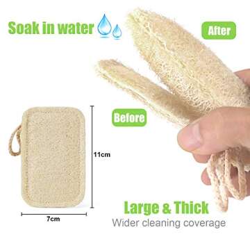 Natural Sponges for Dishes, Loofah Dish Sponges Eco-Friendly - Biodegradable Washing Up Vegetable Sponges - No Odor Scrubber for Dishes (5 Pack)