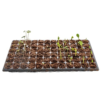 Durable Seed Starter Kit with 72 Cell Planters