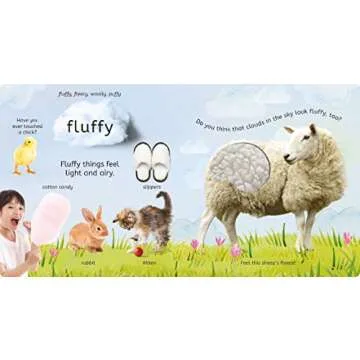 The Touch Book (My World)