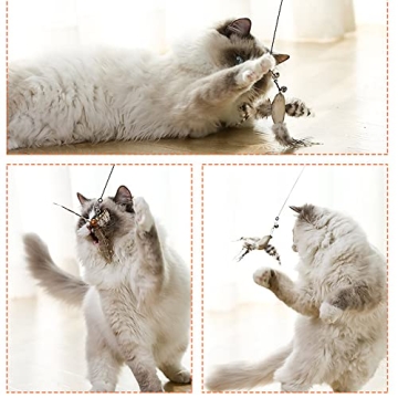 TINGIC Hands-Free Cat Toys for Playful Indoor Cats