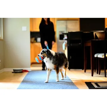 Chuckit! Soft Indoor Dog Fetch Ball Toy - Durable & Fun