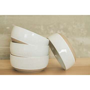 Stylish 25 oz Ceramic Flat Bowls Set for All Occasions