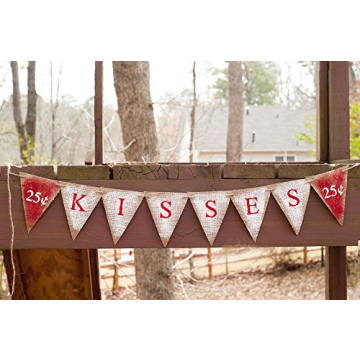 Swanky Party Box 25 Cent Kisses Banner for Valentine's Day