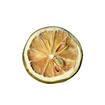 Natural Dehydrated Dry Lime Slices for Your Cocktails