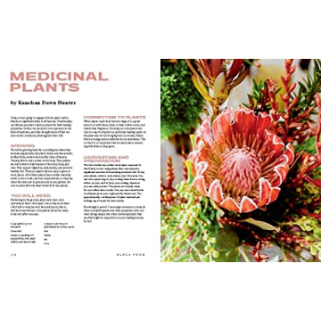 Black Food: Recipes and Stories from African Diaspora