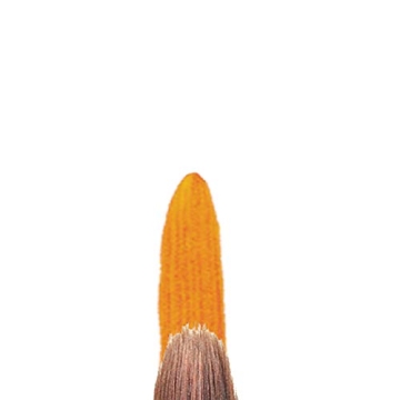 Winsor & Newton Short Handle Round Brush for Detail