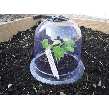 6-Pack! GrowAway Small Reusable Plastic Mini Greenhouse, Garden Cloche Dome, Plant Covers Frost Guar...