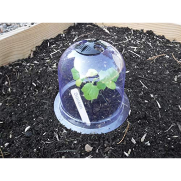 GrowAway 6-Pack Mini Greenhouse Dome Plant Covers