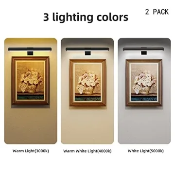 Dimmable Picture Light with Remote Control - 2 Pack
