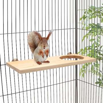Wontee Bird Perch Stand Wooden Platform for Cockatiels Conures Rats Gerbils Chinchillas Squirrels (M1- with Hole)