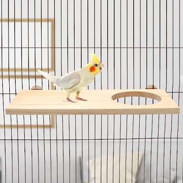 Wontee Bird Perch Stand Wooden Platform for Cockatiels Conures Rats Gerbils Chinchillas Squirrels (M1- with Hole)