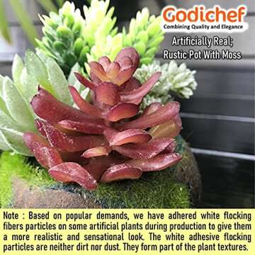 Potted Artificial Succulent Plants - Realistic Fake Plant in Cute Mini Pot with Mosses, Fake Succule...