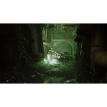 Discover the Charm of Stray Cat Adventure Game for PS5