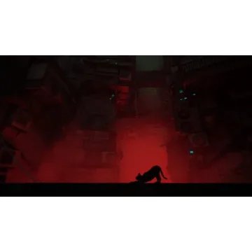 Discover the Charm of Stray Cat Adventure Game for PS5