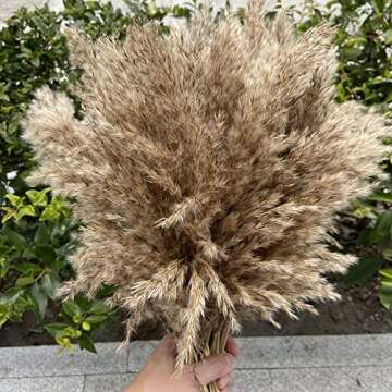 Dried Pampas Grass Decor,18 Inches Small Pompus Grass,30 Stems Natural Fluffy Pompas Grass,Boho Home Decor for Room Kitchen Farm Wedding Christmas