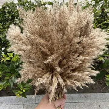 Dried Pampas Grass Decor - 30 Stems Natural Boho Decor
