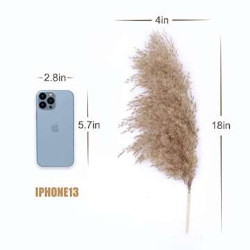 Dried Pampas Grass Decor,18 Inches Small Pompus Grass,30 Stems Natural Fluffy Pompas Grass,Boho Home Decor for Room Kitchen Farm Wedding Christmas