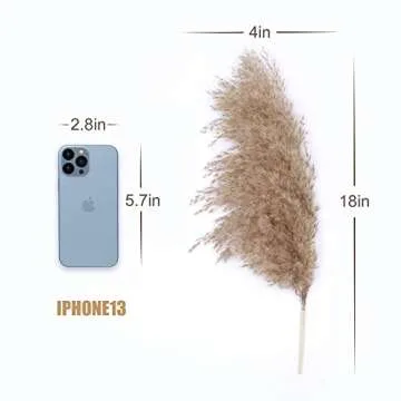 Dried Pampas Grass Decor - 30 Stems Natural Boho Decor