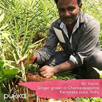 Pukka Organic Elderberry & Echinacea Herbal Tea Bags