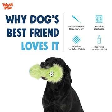 WEST PAW Rowdies Durable Plush Dog Toy with HardyTex and Zogoflex Chew Zones, PEET, Lime