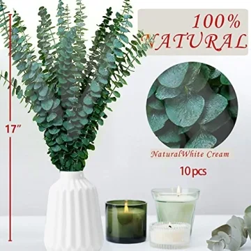 10 Pcs Dried Preserved Eucalyptus for Fresh Aroma and Style