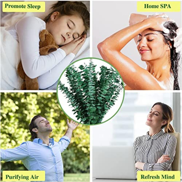 10 Pcs Dried Preserved Eucalyptus for Fresh Aroma and Style