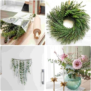 10 Pcs Dried Preserved Eucalyptus for Fresh Aroma and Style