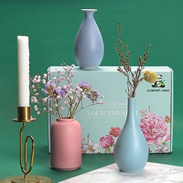 Colorful Ceramic Flower Vase Set of 3 for Home Decor