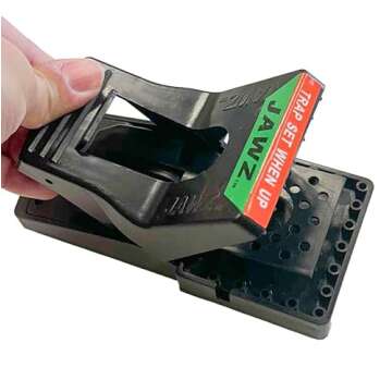 JT Eaton 410 Jawz Indoor Rat Trap for Solid or Liquid Bait, Instant Kill Traps for Rat & Chipmunk - ...
