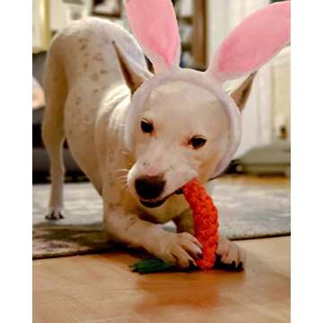 Dog Bunny Ears and Easter Puppy Toy Kit,Doggie Easter Costume