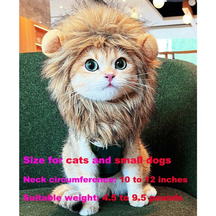 RosyLife Lion Mane Wig for Cats - Perfect Pet Costume