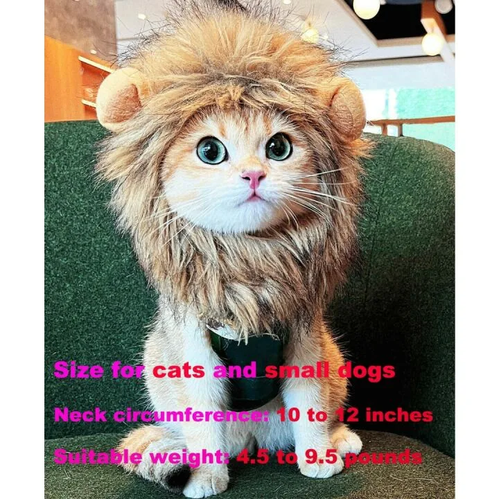 RosyLife Lion Mane Wig for Cats - Perfect Pet Costume