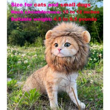 RosyLife Lion Mane Wig for Cats - Perfect Pet Costume