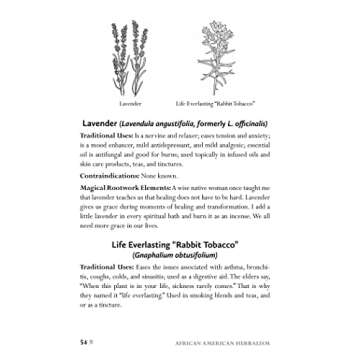 African American Herbalism: A Practical Guide to Healing Plants and Folk Traditions