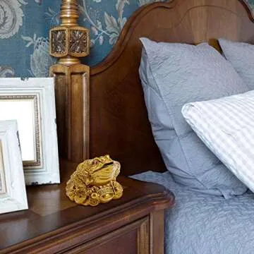 Wschic Feng Shui Money Frog, Lucky Money Toad Decorations,Ideal for Attracting Wealth