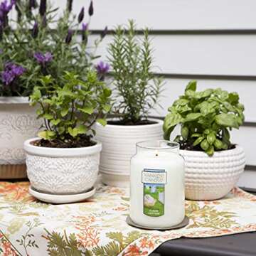 Yankee Candle Clean Cotton Scented, Large 22oz Jar Candle with Premium Paraffin-Grade Wax, Long Burn Time, Ideal for Gifts and Home Decor