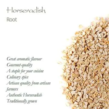 Horseradish Root Organic Gourmet Quality - Horse Radish Roots Organic Horseradish Root Quality Organic Rasdish