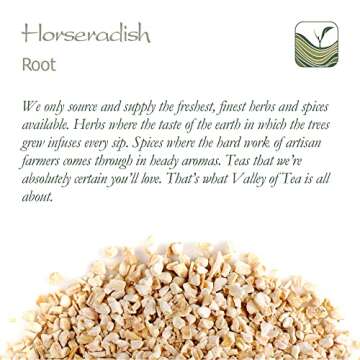 Horseradish Root Organic Gourmet Quality - Horse Radish Roots Organic Horseradish Root Quality Organic Rasdish