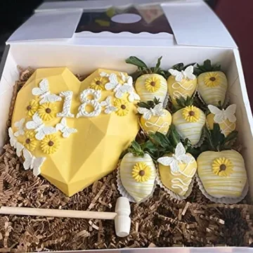 Chocolate Mold Set for Cake Decorating and Candy Making