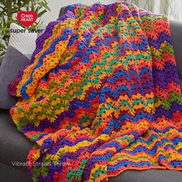 Red Heart Super Saver Jumbo Yarn - 2 Pack for Knitting/Crochet