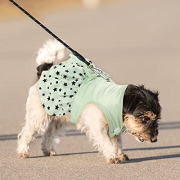 Fashionable 2 Pcs Small Dog Dress Set for Your Pet