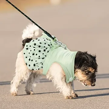 Fashionable 2 Pcs Small Dog Dress Set for Your Pet