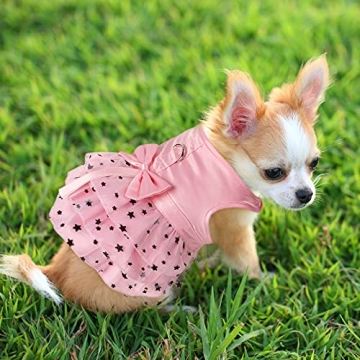 Fashionable 2 Pcs Small Dog Dress Set for Your Pet