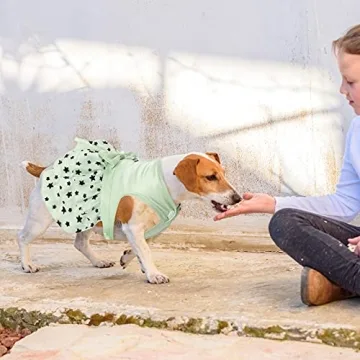 Fashionable 2 Pcs Small Dog Dress Set for Your Pet
