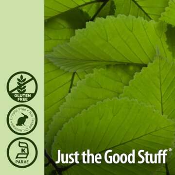 Nature's Answer Slippery Elm Extract, 2000 mg, 2 fl oz (60 ml)