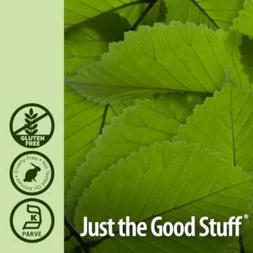 Nature's Answer Slippery Elm Extract, 2000 mg, 2 fl oz (60 ml)